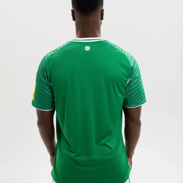 Back view of a man in a green soccer jersey with white trim and striped sleeves, standing in white shorts.