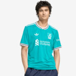 Young man wearing a teal Liverpool FC away jersey with Standard Chartered sponsor, facing the camera.