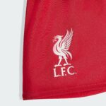 Close-up of a red fabric surface featuring a white Liverpool FC crest partially visible.
