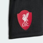 Red Liverpool FC shield badge with white liverbird on dark fabric surface (likely a bag).