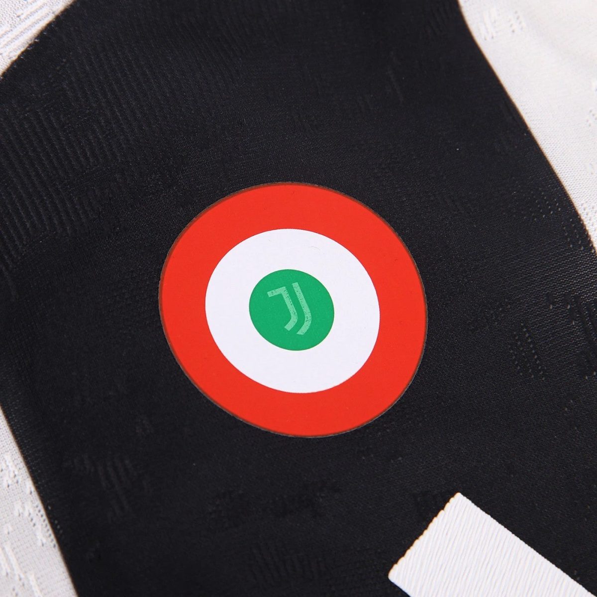 Close-up of a circular badge: green center symbol inside a white ring and red outer ring on black fabric.