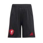 Black athletic shorts with Liverpool FC crest on the left leg and red Adidas stripes on the right side.