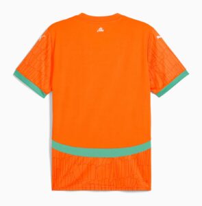 Back view of a bright orange T-shirt with green cuffs and hem, featuring a subtle geometric pattern on the sleeves and a small white logo at the neckline center back.
