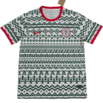 Nigeria football federation jersey with green geometric pattern, red collar, and Nike swoosh on the chest.