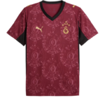 Maroon Galatasaray football jersey with black V-neck, Puma logo, and crest with stars.