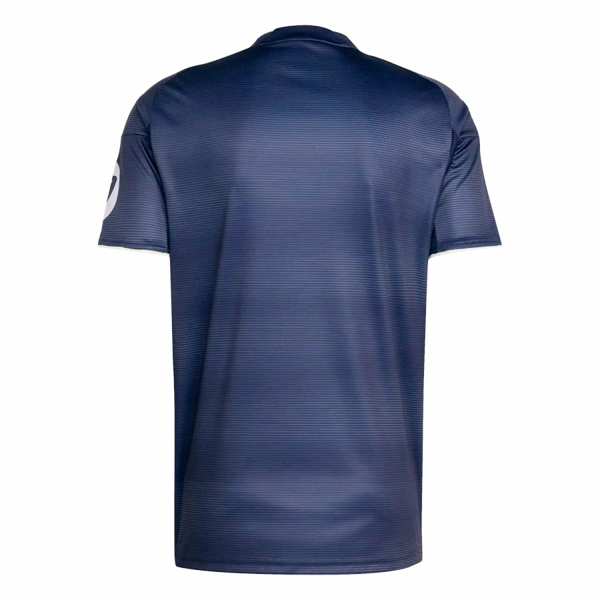 Back view of a navy blue polo shirt with subtle horizontal stripes, short sleeves, on a white background.