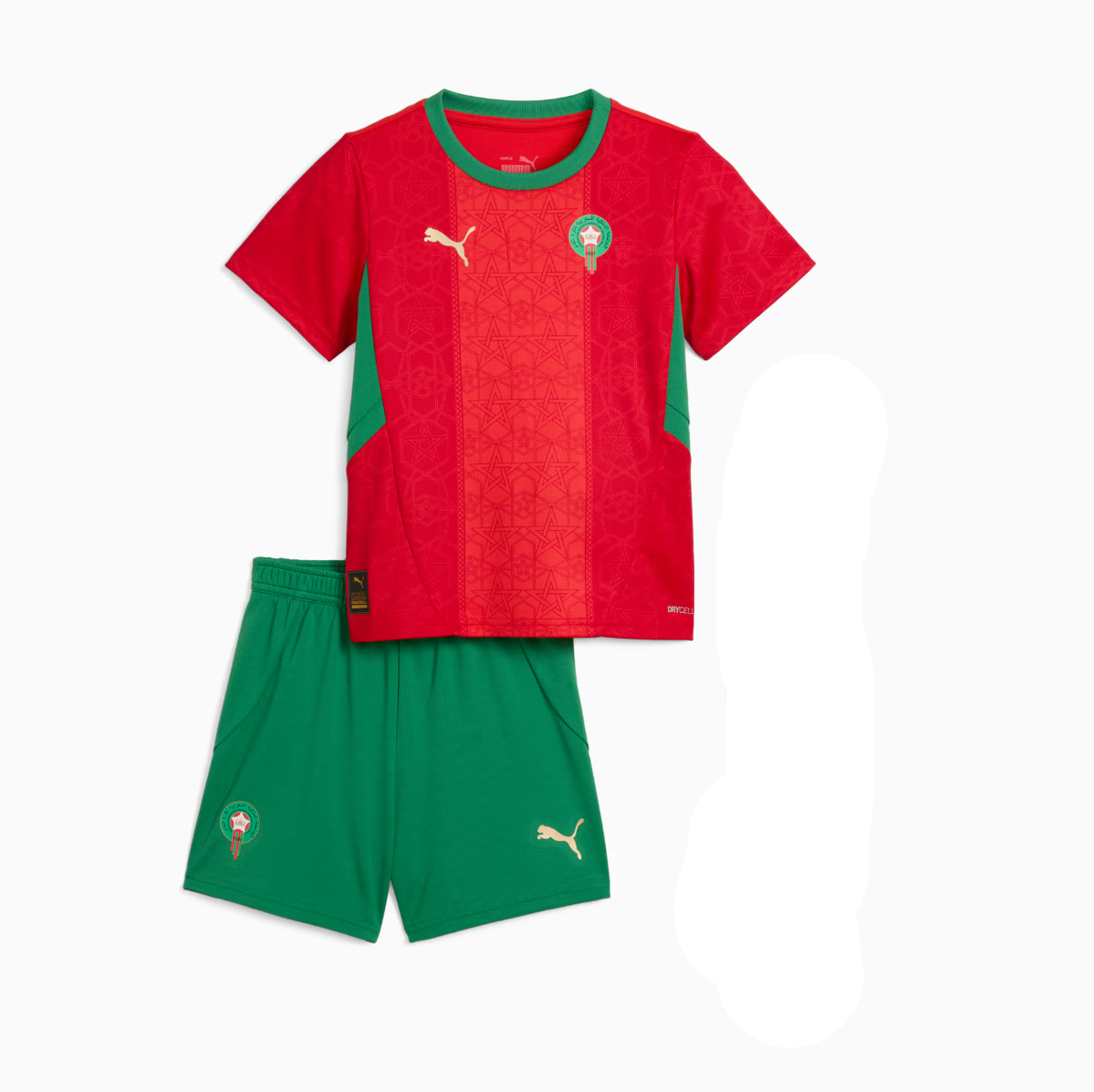 Screenshot_2025-11-23_052207 Red soccer jersey with green collar and side panels paired with green shorts; features a crest on the chest and Puma logos.