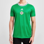 Man wearing a green Ireland national soccer jersey with Adidas logo and crest.