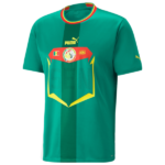 Green Puma soccer jersey with a red-yellow crest and bold yellow shield graphic on the chest.