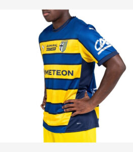 Person wearing a blue and yellow striped soccer jersey with sponsor logos and team crest.