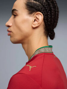 Side profile of a person with braided hair wearing a red athletic jersey and a patterned collar.