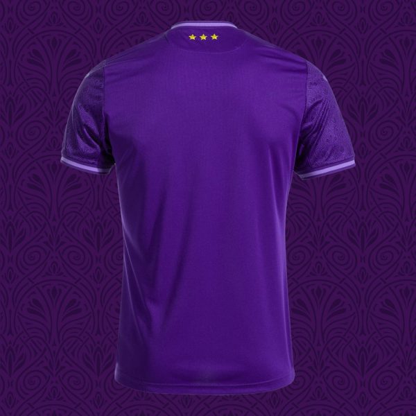 Back view of a purple polo shirt with three gold stars near the collar against a purple decorative background.