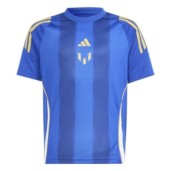 Argentina Blue Messi Training Jersey 24/25