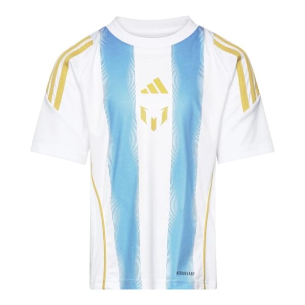 Argentina Messi Training Jersey 24/25