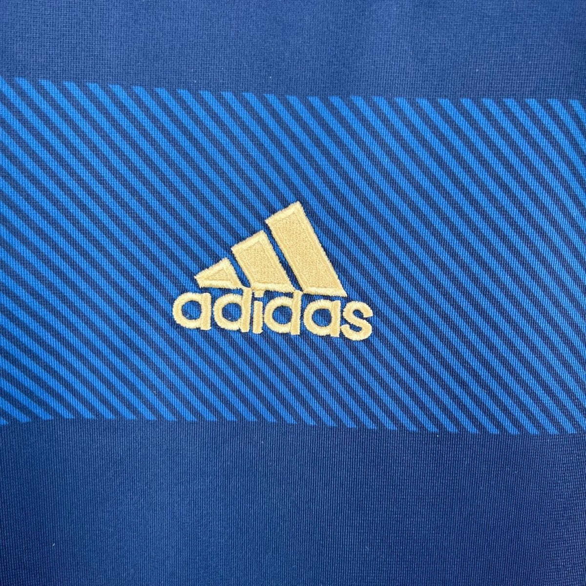 Dark-blue Argentina shirt, chest logo and patterned fabric close-up