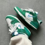 Pair of green and white Nike sneakers with blue swoosh resting on a concrete floor.