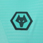 Turquoise fabric patch with a dark teal hexagon border and a stylized wolf head in the center
