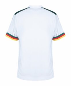 Cameroon World Cup Away kit 2022 - uaessss