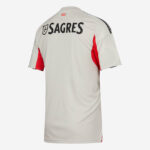 Back view of a light gray soccer jersey with a bold SAGRES logo across the upper back and red side panels on the sleeves.