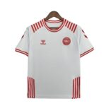 Denmark away jersey 2021 - uaessss
