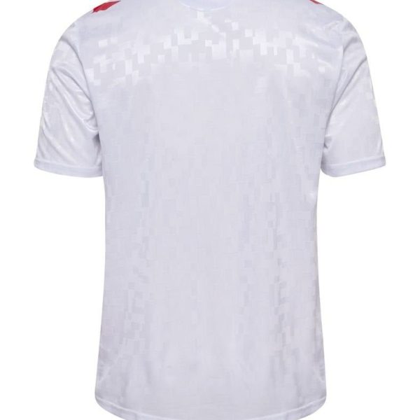 Denmark Away JERSEY 2024/25 - uaessss