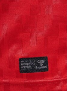 denmark-home-jersey-202425-149517 | UAE SPORT STORE Denmark HOME JERSEY 2024/25 - uaessss