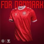 denmark-home-jersey-202425-389428 | UAE SPORT STORE Denmark HOME JERSEY 2024/25 - uaessss