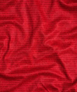 denmark-home-jersey-202425-908461 | UAE SPORT STORE Denmark HOME JERSEY 2024/25 - uaessss
