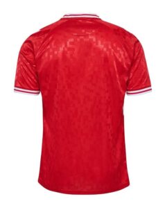 denmark-home-jersey-202425-988175 | UAE SPORT STORE Denmark HOME JERSEY 2024/25 - uaessss