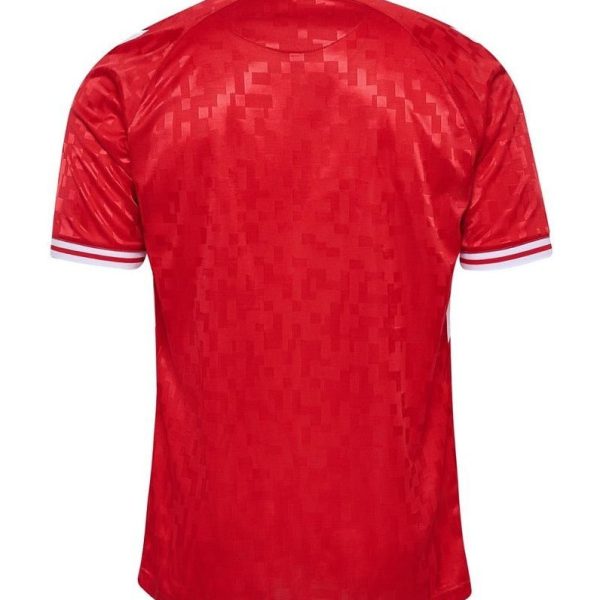 Denmark HOME JERSEY 2024/25 - uaessss