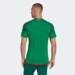 Back view of a person wearing a green sports jersey with red trim and teal shorts, facing away from the camera.