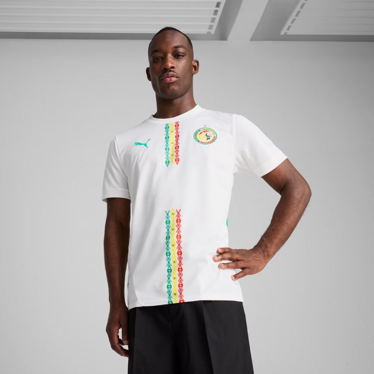 Man wearing a white shirt with colorful vertical embroidery standing with one hand on hip in a studio backdrop.