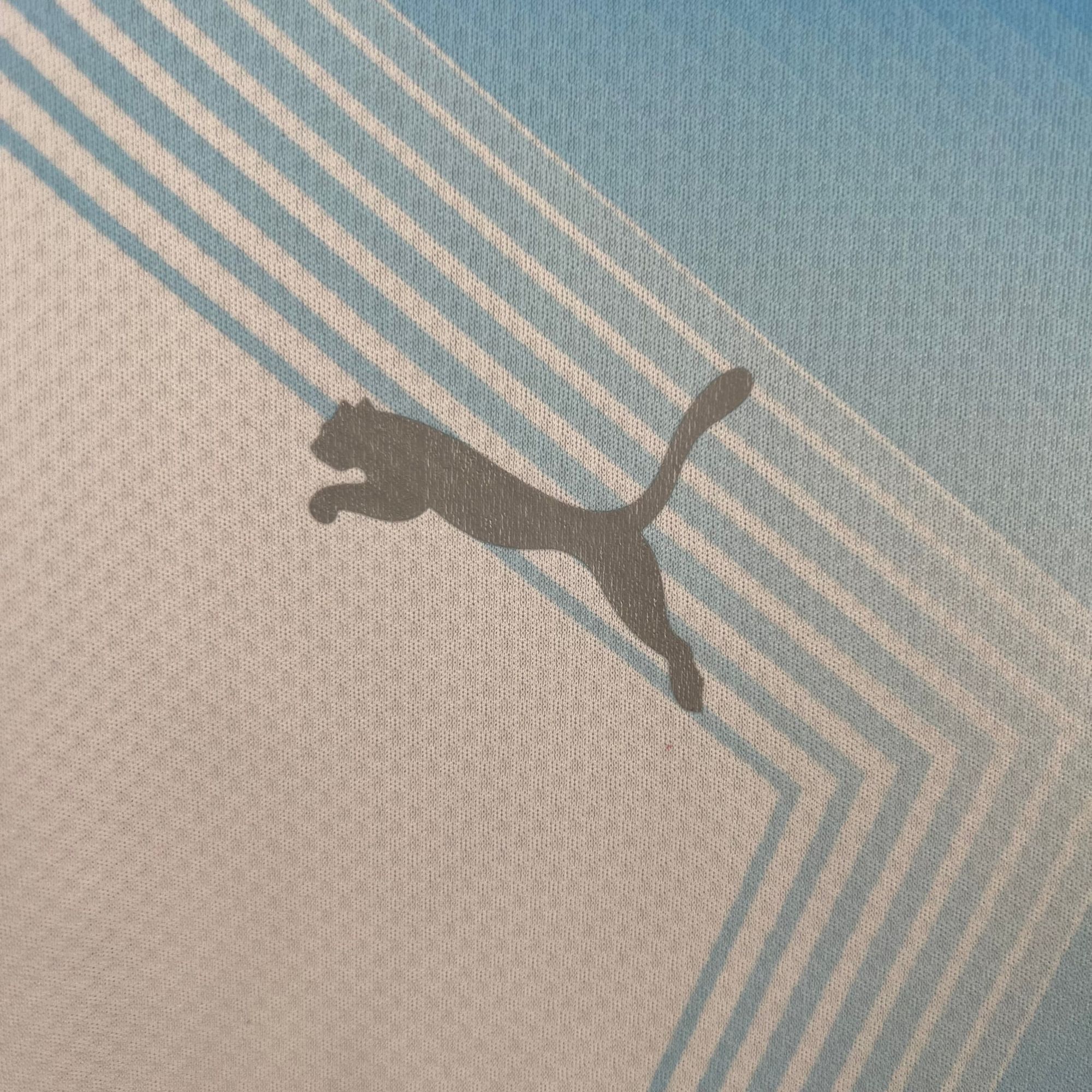f66b2cd6_5e5ec357-6235-480a-aba5-08d6db98dc01 | UAE SPORT STORE Close-up of pale blue fabric with white diagonal stripes and a partial gray animal silhouette.