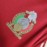 Logo of the Mexican Football Federation (Federación Mexicana de Fútbol) on a red fabric, featuring an eagle around a decorative soccer ball.