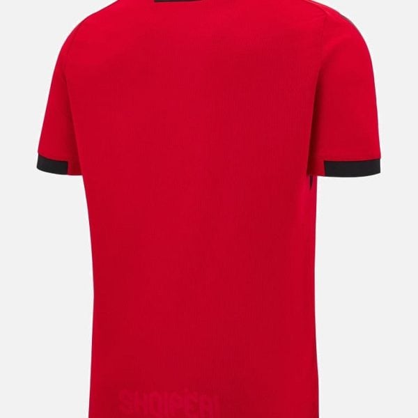 Back view of a red polo shirt with black collar trim and black sleeve cuffs.