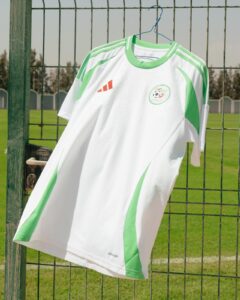 White and green soccer jersey hanging on a blue hanger from a metal fence, with a grassy field in the background and a team crest on the chest.