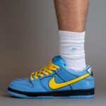 girls-nike-sb-dunk-low-bubbles-736820 | UAE SPORT STORE Girls × Nike SB Dunk Low "Bubbles" - uaessss
