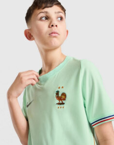 Young boy in a mint green France national team soccer jersey, with rooster crest and star details, looking to the side.