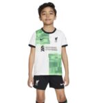 Young boy wearing a white and green Liverpool FC jersey with black shorts.
