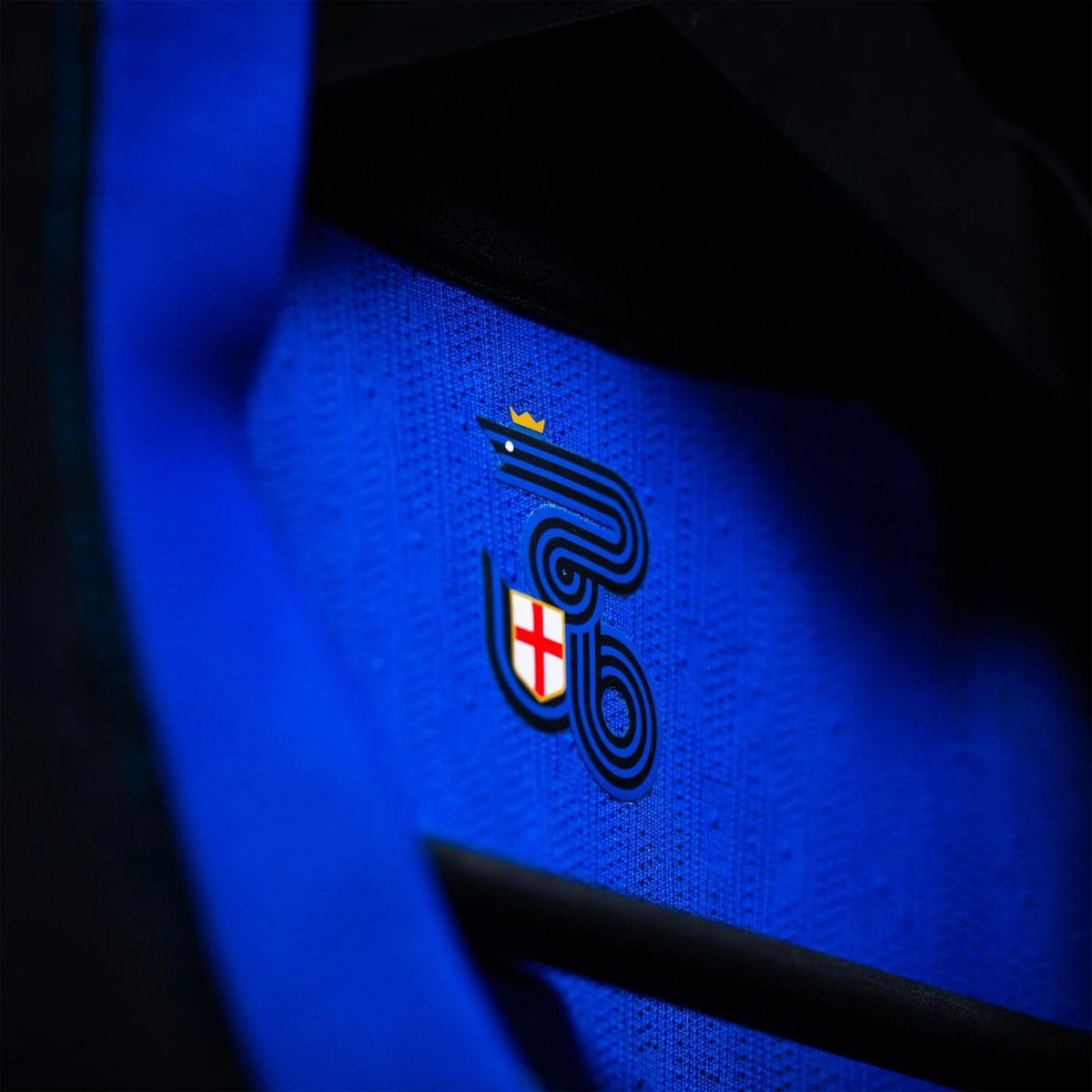 Close-up of a blue sports jersey showing a stylized black serpent logo and a small red-cross shield crest on the fabric edge.