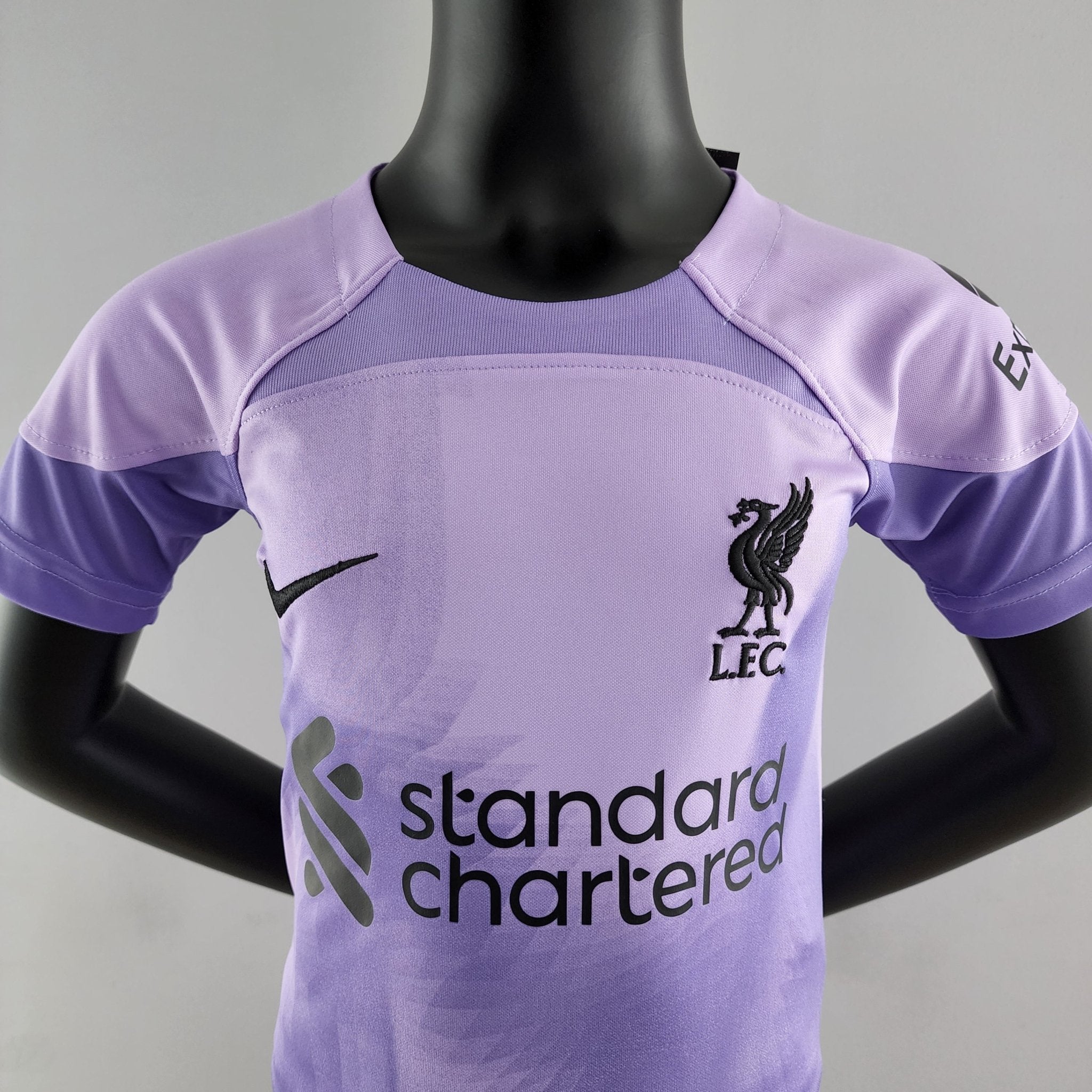 rn-image_picker_lib_temp_f3ec45cb-dfa9-42e0-b97d-98a76fde772c | UAE SPORT STORE Front view of a lavender T-shirt on a black mannequin displaying the Standard Chartered branding on the chest.