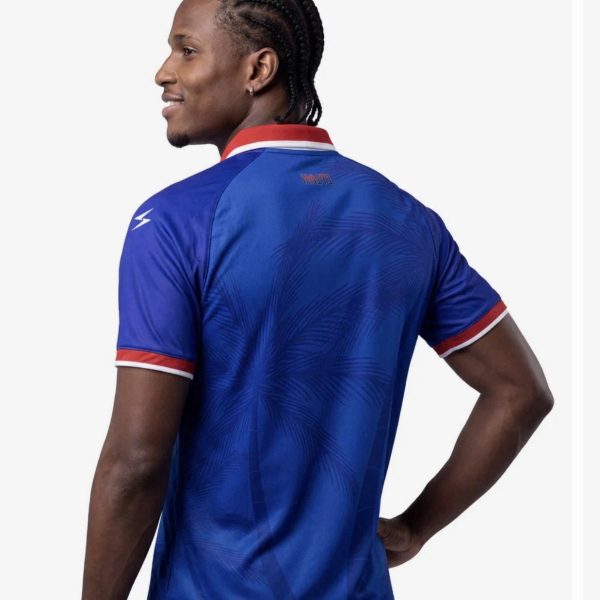 Back view of a man in a blue sports polo with red and white trim on the collar and cuffs, subtle pattern on the fabric