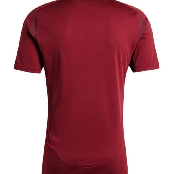 Rear view of a maroon short-sleeve athletic jersey with subtle paneling and a light-colored collar trim, brand A. Roma at the neck.