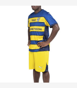 Person wearing a blue and yellow striped soccer jersey with matching yellow shorts; visible brand logos on chest and leg.
