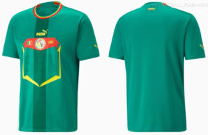 Front and back view of a green Puma football jersey featuring a red shield emblem with a Lions logo on the chest, yellow trim, and teal vertical panels.