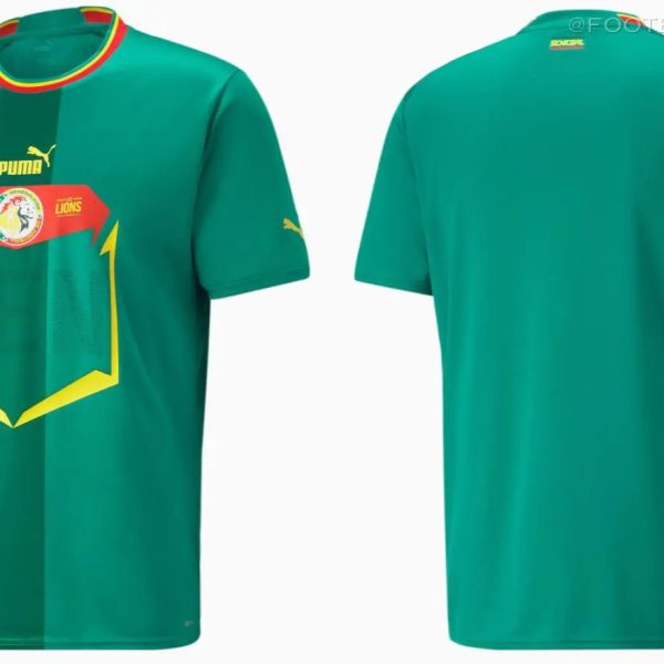 Front and back view of a green Puma football jersey featuring a red shield emblem with a Lions logo on the chest, yellow trim, and teal vertical panels.
