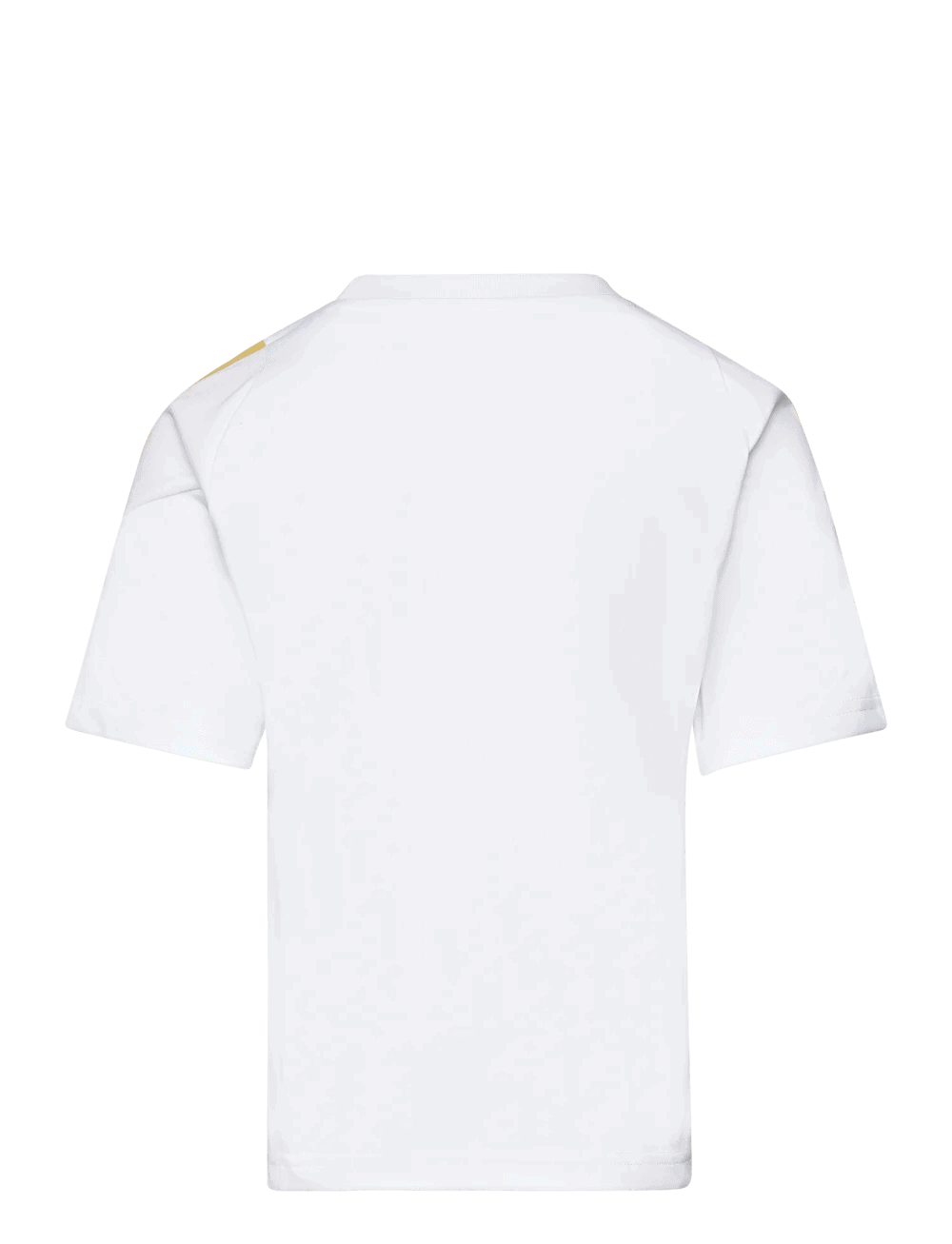 argentina-messi-training-jersey-2425-764942-1png | UAE SPORT STORE Argentina Messi Training Jersey 2425 764942 1 | UAE Sport Store