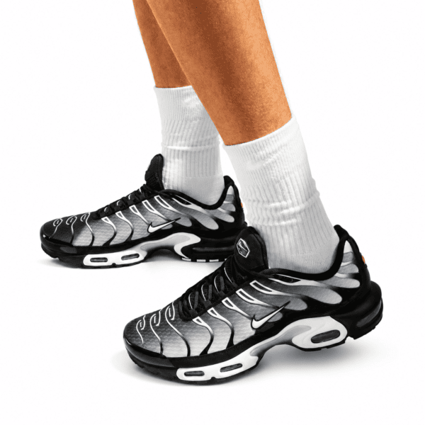 Nike Air Max Plus Black Silver White