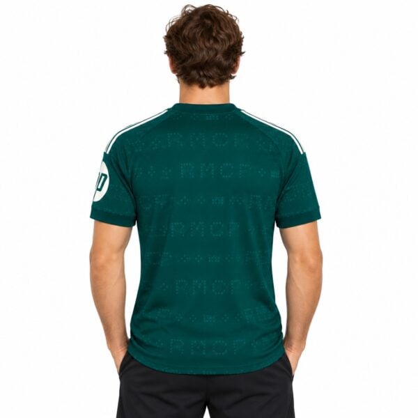 Back view of a green football jersey with white stripes on shoulders and logo on sleeve.